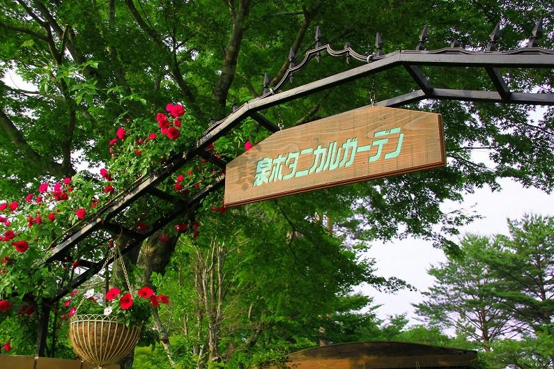 仙台市泉区 七北田ダム湖畔 花自然植物園 泉ボタニカルガーデンに行ってきました 仙台ウェブ 宮城県仙台市のホームページ制作会社